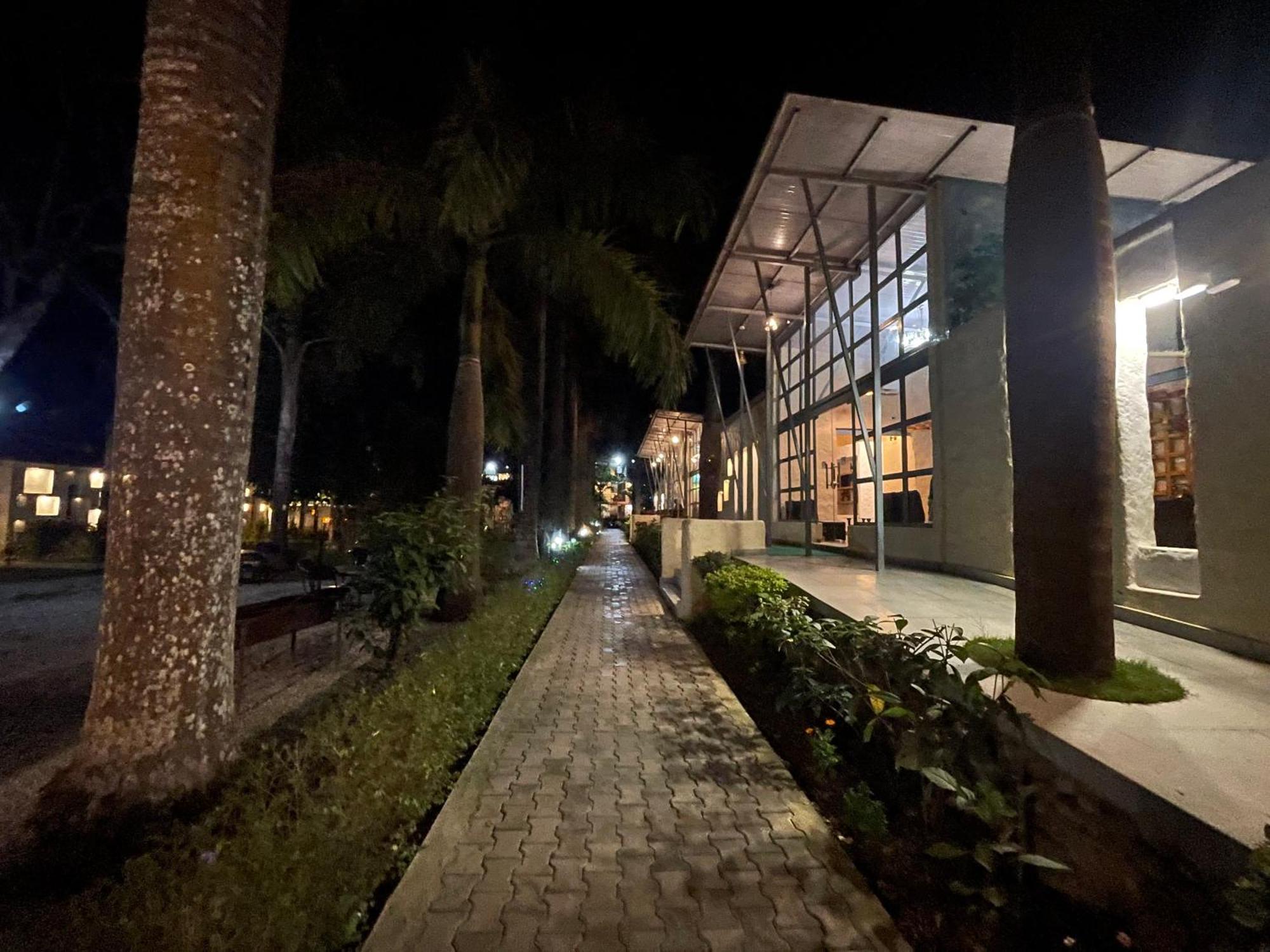 Royal Tiger Luxury Resort 4 Star Sauraha Extérieur photo